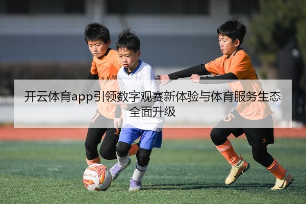 开云体育app引领数字观赛新体验与体育服务生态全面升级