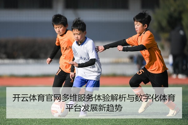 开云体育官网多维服务体验解析与数字化体育平台发展新趋势